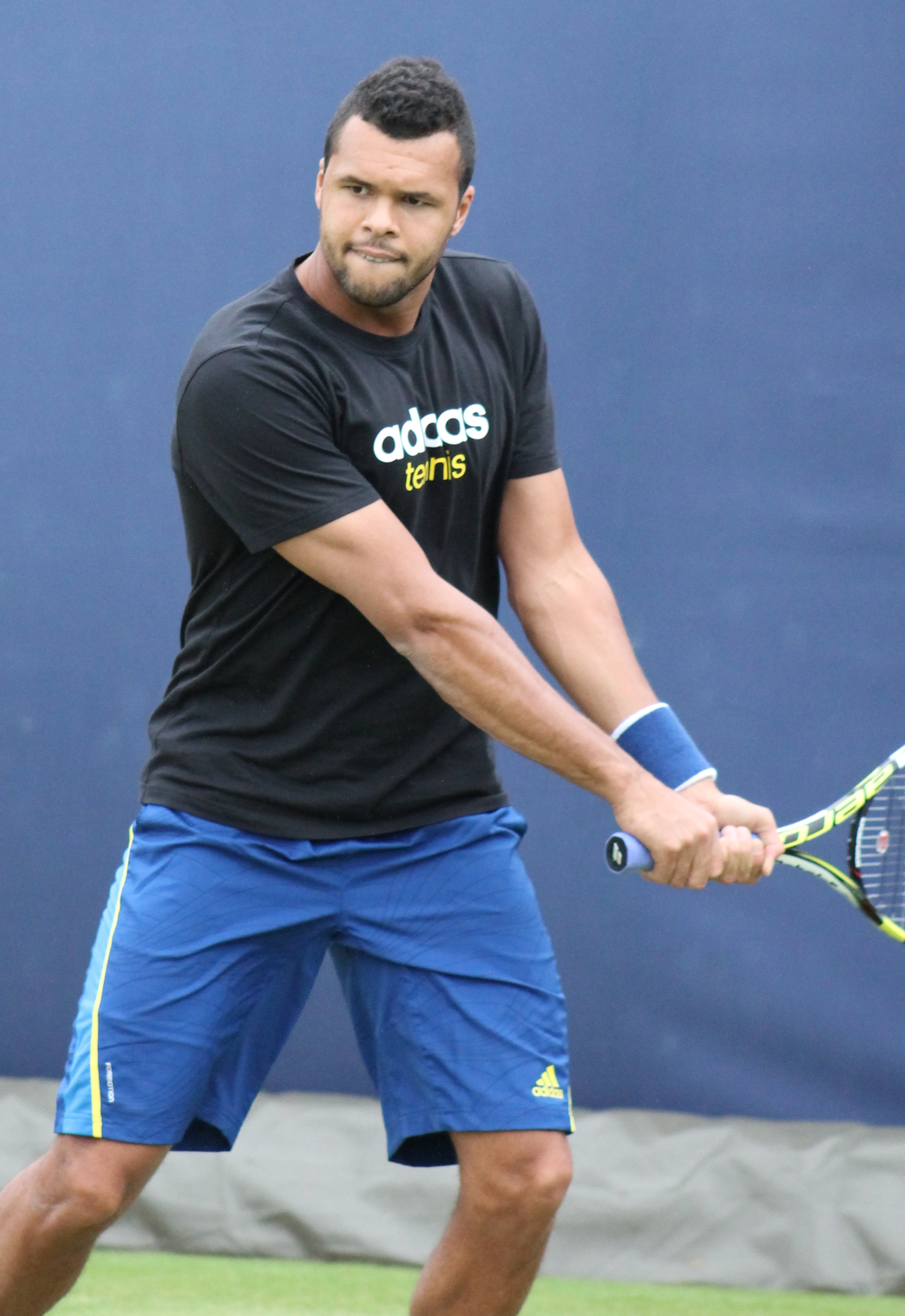 Photo de Jo-Wilfried Tsonga