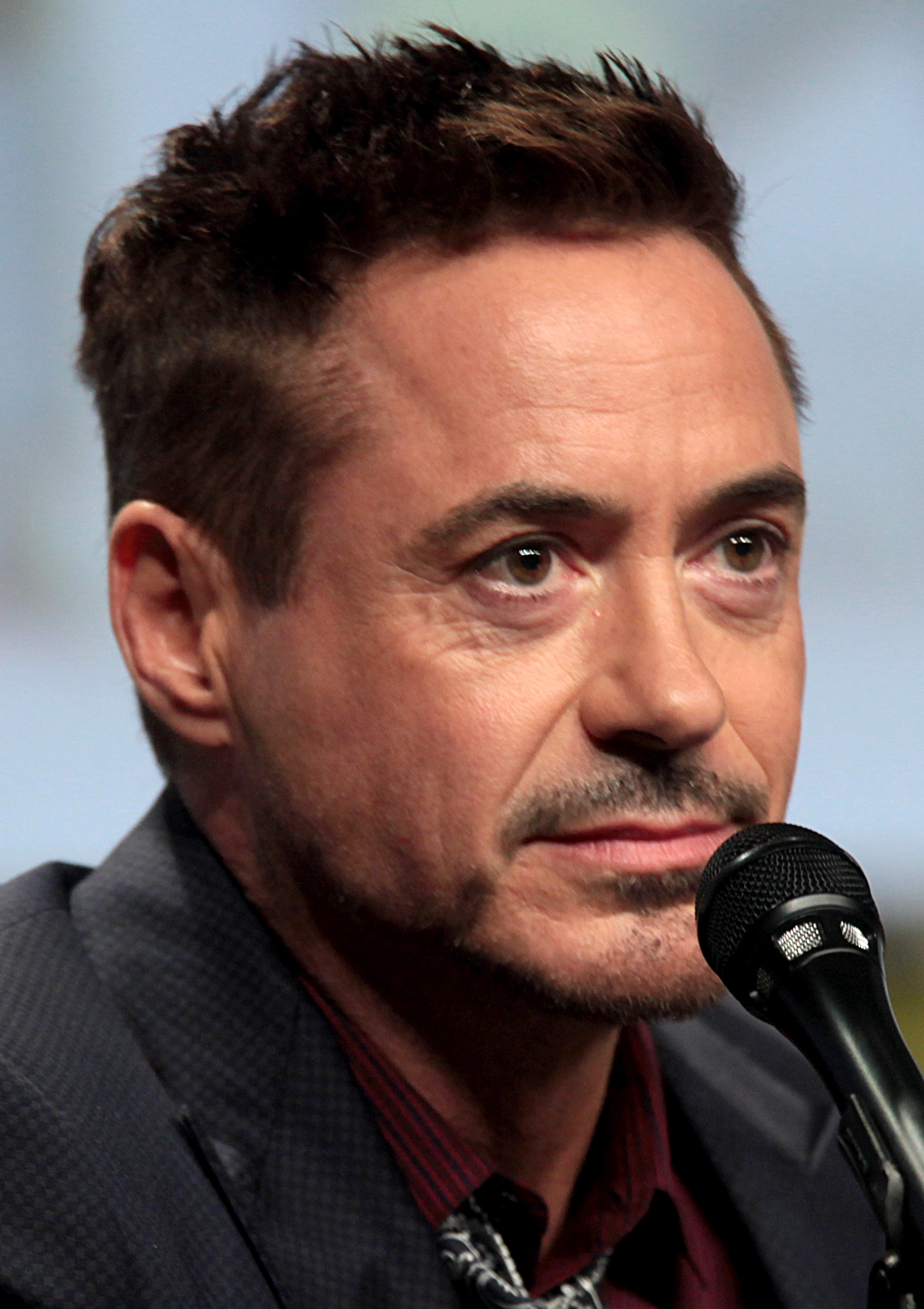 Photo de Robert Downey Jr.
